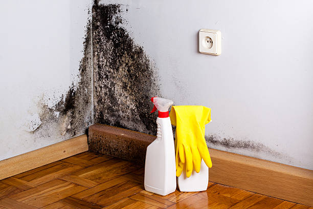 Best Air Quality Testing for Mold Spores  in Huntington Beach, CA